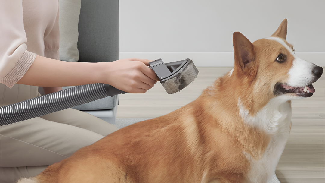 PET GROOMING TOOLS FOR HEALTHY CLEAN CARE